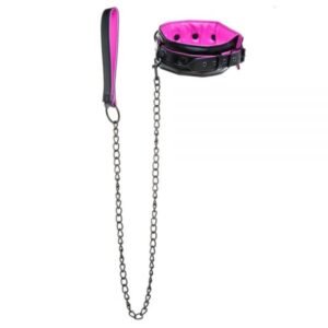 Нашийник з повідцем COLLAR & LEASH