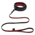 Нашийник та повідець Fifty Shades of Grey Sweet Anticipation Reversible Faux Leather Collar and Lead