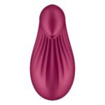 Вібратор Satisfyer Dipping Delight Berry, 2 мотори, гнучкий кінчик
