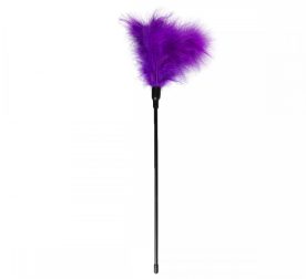 pero-na-dlynnoi-ruchke-easy-toys-fyoletovoe-44-sm-98385150110312_-5ca2ac1eb2