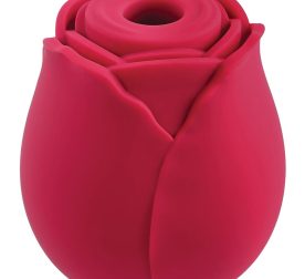 vakuumnyi-klytoralnyi-stymuliator-adam-et-eve-eves-ravishing-rose-clit-pleaser-48117110588361_-2e8e0b589e