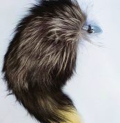 analnaia-probka-s-s-khvostom-ds-fetish-anal-plug-s-fox-tail-black-fox-57092556387597_-14ee91ce75