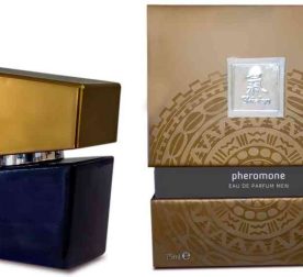 dukhy-s-feromonamy-muzhskye-shiatsu-pheromone-fragrance-men-grey-15-ml-85620272141978_-53712c3d1c