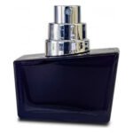 Духи із феромонами чоловічі SHIATSU Pheromone Fragrance men grey, 50 мл