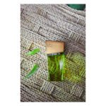 Духи з феромонами жіночі SHIATSU Pheromone Fragrance women lime, 15 мл