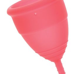 menstrualnye-chashy-mae-b-intimate-health-2-large-menstrual-cups-20349575010543_-2cf7750e64