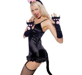 nabor-aksessuarov-leg-avenue-pretty-kitty-accessory-kit-o-s-37252019395709_-82faa5582f