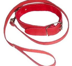 osheinyk-s-povodkom-ds-fetish-collar-with-leash-red-68703262880448_-220098c1af