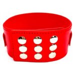 Нашийник з повідцем DS Fetish Collar with leash red metal