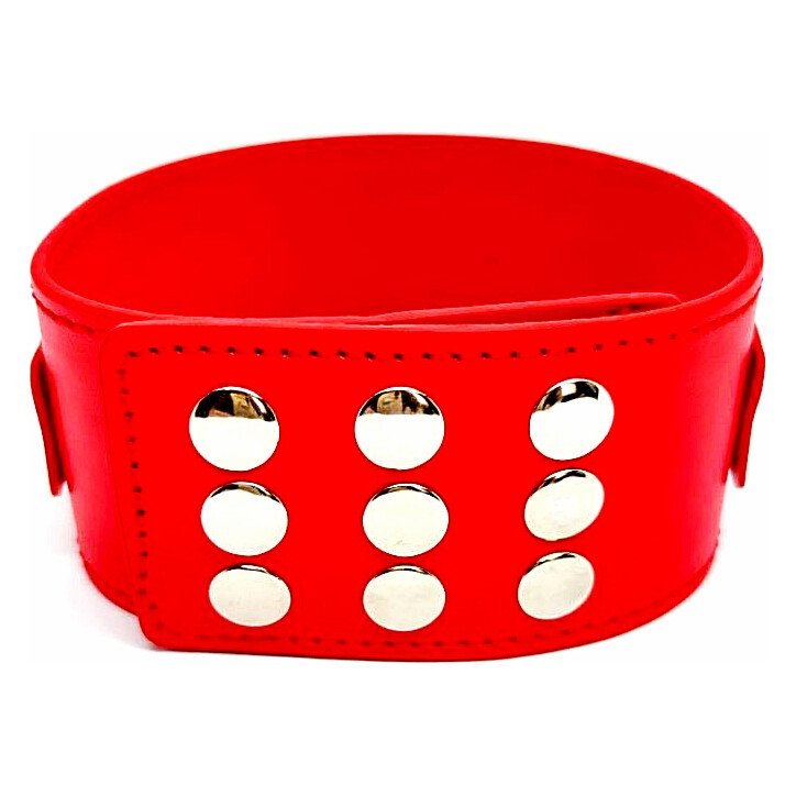 Нашийник з повідцем DS Fetish Collar with leash red metal Нашийник з повідцем DS Fetish Collar with leash red metal