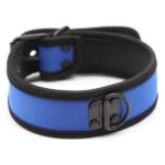 Ошейник з неопрену Collar neoprene blue