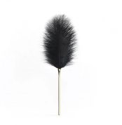 pero-na-pozolochennoi-ruchke-premium-feather-tickler-upko-53006452062555_-42e7b2acbb