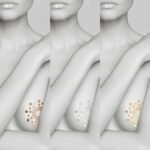 Прикраса для грудей MIMI Metallic Skin Transfer Bijoux Indiscrets