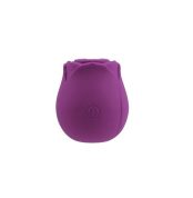 vakuumnyi-klytoralnyi-stymuliator-chisa-rosy-purple-61563943334314_-25c71f1b14