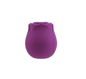 vakuumnyi-klytoralnyi-stymuliator-chisa-rosy-purple-61563943334314_-25c71f1b14