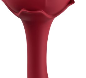 vybrator-dvukhstoronnyi-s-vozdushnoi-stymuliatsyei-rose-krasnyi-48675940896296_-573468f876