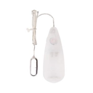 Вибропуля серебристая Chisa Hi-Basic Be Mine Bullet Vibrator на белом пульте управления