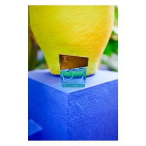 Духи з феромонами чоловічі SHIATSU Pheromone Fragrance men lightblue, 15 мл