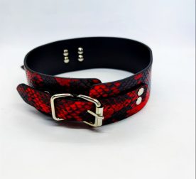 oeinyk-s-povodkom-collar-black-red-with-leash-19897811751472_-338a9018bd