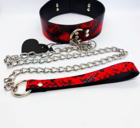 oeinyk-s-povodkom-collar-black-red-with-leash-52927121435993_-aa2507d825