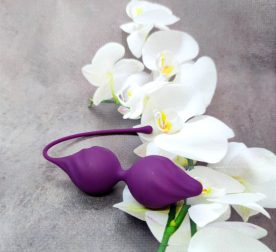 vahynalnye-sharyky-so-smeshchennym-tsentrom-tiazhesty-loveshop-21-sm3-sm-violet-59657411814216_-51f89c94db