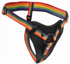 ag996-strapon-y-trusyky-take-the-rainbow-universal-raduzhnyi-54806894979925_-d74d12b902
