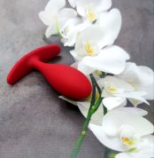 analnaiaprobka-loveshop-anal-plug-lred-9.5-sm-2.9-sm-21098527069739_-1baf31fa89