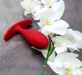 analnaiaprobka-loveshop-anal-plug-lred-9.5-sm-2.9-sm-21098527069739_-1baf31fa89
