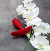 analnaiaprobka-loveshop-anal-plug-lred-9.5-sm-2.9-sm-77357901261454_-0b9f72f63d