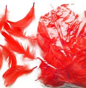 dekoratyvnye-peria-obsessive-take-me-to-bed-bed-feathers-red-64118689720457_-ba7fa54683