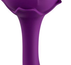 dvoinoi-vybrator-s-vakuumnoi-stymuliatsyei-stymulator-rose-s-e05-purple-38310709522363_-cc5b390c24