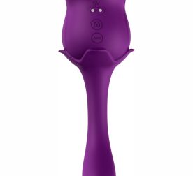 dvoinoi-vybrator-s-vakuumnoi-stymuliatsyei-stymulator-rose-s-e05-purple-80072884071344_-6597ec2102