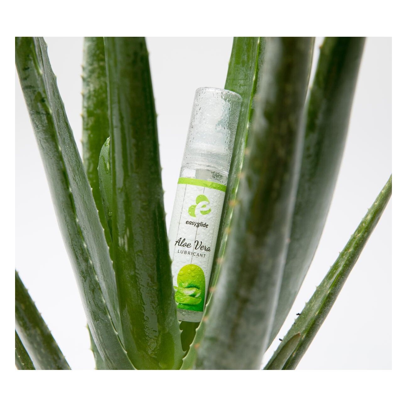 Лубрикант на водній основі asyGlide Aloe Vera, 30 мл Лубрикант на водній основі asyGlide Aloe Vera, 30 мл