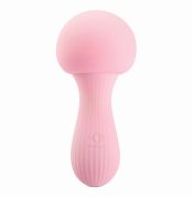 klytoralnyi-stymuliator-v-forme-hryba-otouch-mushroom-siliconen-34267341189465_-13df2dcba7