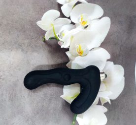 masazher-prostaty-loveshop-prostate-massager-17611766201275_-f33839b133
