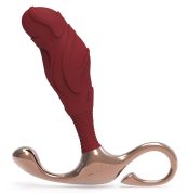 massazher-prostaty-relefnyi-l-zini-janus-lamp-iron-bordovyi-11.9-kh-3.3-sm-18513264987925_-439342fa9b