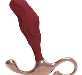 massazher-prostaty-relefnyi-l-zini-janus-lamp-iron-bordovyi-11.9-kh-3.3-sm-18513264987925_-439342fa9b