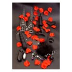Набір секс-іграшок і БДСМ атрибутів TOY JOY, 10 предметів, чорний