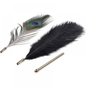 nabor-yz-2-peryshek-natural-peacock-flirting-feather-tickler-35904482070955_-76d14fdc03