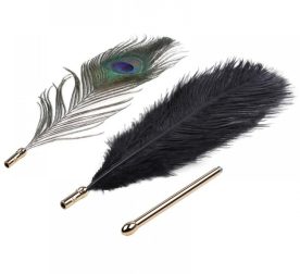 nabor-yz-2-peryshek-natural-peacock-flirting-feather-tickler-35904482070955_-76d14fdc03