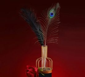nabor-yz-2-peryshek-natural-peacock-flirting-feather-tickler-56971975712577_-ea4cebaaf3