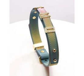 osheinyk-choker-s-zolotymy-bukvamy-so-strazamy-sevanda-lockink-kozhanyi-raznotsvetnyi-71057908443609_-28ceef36b8