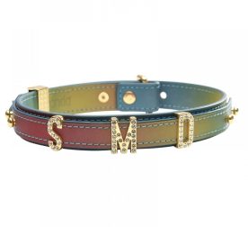 osheinyk-choker-s-zolotymy-bukvamy-so-strazamy-sevanda-lockink-kozhanyi-raznotsvetnyi-79653262379023_-5298f4bb7c