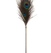 pero-pavlyna-peacock-tickler-taboom-35696824645544_-8ca10fc563