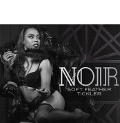 pero-tykler-noir-soft-feather-tickler-chernoho-tsveta-18013806180373_-5966cf43fc