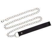 povodok-s-karabynom-y-chernoi-petlei-chain-leash-serebrystyi-67461422110278_-a75ae017f8