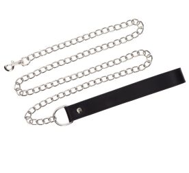 povodok-s-karabynom-y-chernoi-petlei-chain-leash-serebrystyi-67461422110278_-a75ae017f8