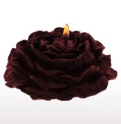 svechy-bdsm-nyzkotemperaturnye-taboom-rose-japanese-drip-candle-2-sht-55230863901835_-b958060297