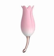 ultrazvukovoi-vybrator-dlia-klytora-v-forme-tiulpania-bloom-otouch-s-dvumia-nasadkamy-rozovyi-73892326140808_-ec425439ba