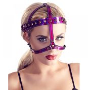 upriazhka-dlia-holovy-bad-kitty-head-harness-59206555244329_-6cb9c86c90